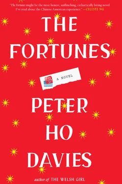 Peter Davies The Fortunes обложка книги