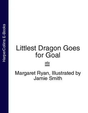 Margaret Ryan Littlest Dragon Goes for Goal обложка книги