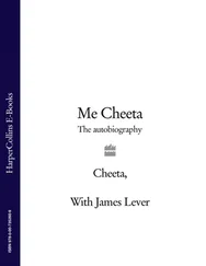 James Lever - Me Cheeta - The Autobiography