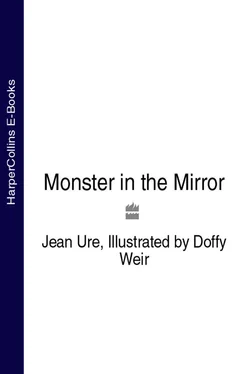 Jean Ure Monster in the Mirror обложка книги