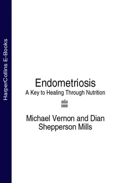 Michael Vernon Endometriosis: A Key to Healing Through Nutrition обложка книги