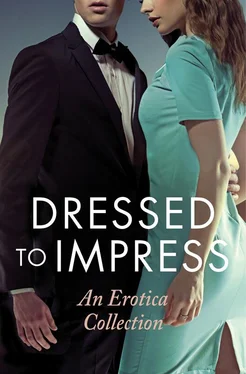 Elizabeth Coldwell Dressed to Impress обложка книги
