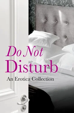 Elizabeth Coldwell Do Not Disturb: An Erotica Collection обложка книги