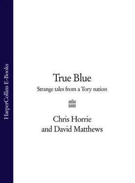David Matthews True Blue: Strange Tales from a Tory Nation обложка книги
