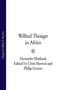 Chris Morton Wilfred Thesiger in Africa обложка книги