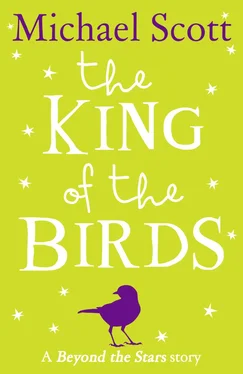 Michael Scott The King of the Birds: Beyond the Stars обложка книги