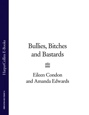 Eileen Condon Bullies, Bitches and Bastards обложка книги