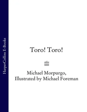 Michael Morpurgo Toro! Toro! обложка книги
