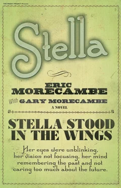 Gary Morecambe Stella обложка книги