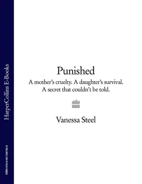 Vanessa Steel Punished: A mother’s cruelty. A daughter’s survival. A secret that couldn’t be told. обложка книги