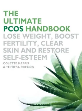 Theresa Cheung The Ultimate PCOS Handbook: Lose weight, boost fertility, clear skin and restore self-esteem обложка книги