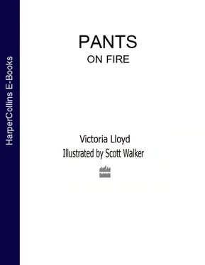 Scott Walker Pants on Fire обложка книги