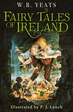 P.J. Lynch Fairy Tales of Ireland обложка книги