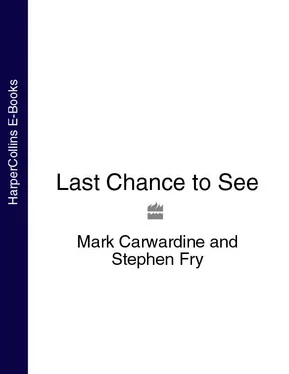 Mark Carwardine Last Chance to See обложка книги