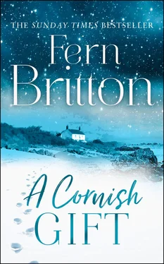 Fern Britton A Cornish Gift: Previously published as an eBook collection, now in print for the first time with exclusive Christmas bonus material from Fern обложка книги