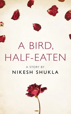 Nikesh Shukla A bird, half-eaten: A Story from the collection, I Am Heathcliff обложка книги