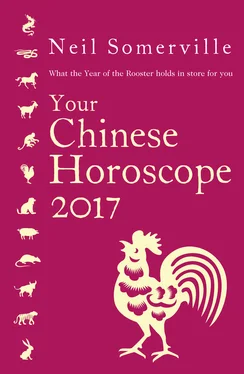 Neil Somerville Your Chinese Horoscope 2017: What the Year of the Rooster holds in store for you обложка книги