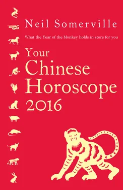 Neil Somerville Your Chinese Horoscope 2016: What the Year of the Monkey holds in store for you обложка книги