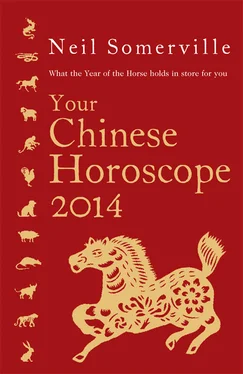 Neil Somerville Your Chinese Horoscope 2014: What the year of the horse holds in store for you обложка книги