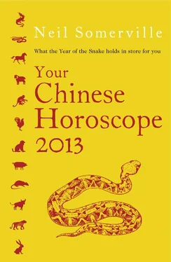 Neil Somerville Your Chinese Horoscope 2013: What the year of the snake holds in store for you обложка книги