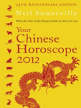 Neil Somerville Your Chinese Horoscope 2012: What the year of the dragon holds in store for you обложка книги
