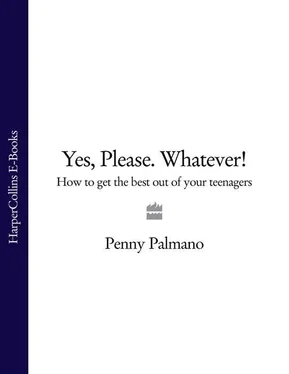 Penny Palmano Yes, Please. Whatever!: How to get the best out of your teenagers обложка книги