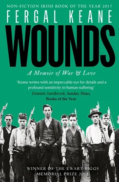 Fergal Keane Wounds: A Memoir of War and Love обложка книги