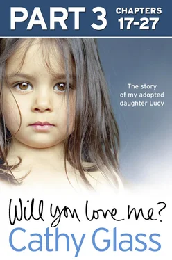 Cathy Glass Will You Love Me?: The story of my adopted daughter Lucy: Part 3 of 3 обложка книги
