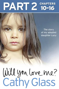Cathy Glass Will You Love Me?: The story of my adopted daughter Lucy: Part 2 of 3 обложка книги
