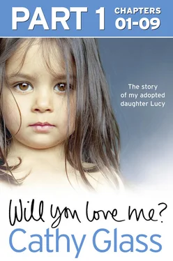 Cathy Glass Will You Love Me?: The story of my adopted daughter Lucy: Part 1 of 3 обложка книги