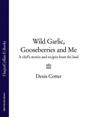 Denis Cotter Wild Garlic, Gooseberries and Me: A chef’s stories and recipes from the land обложка книги