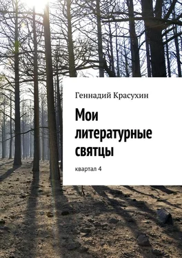 Геннадий Красухин Мои литературные святцы обложка книги