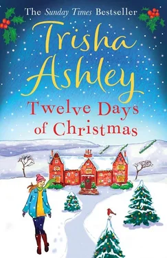 Trisha Ashley Twelve Days of Christmas: A bestselling Christmas read to devour in one sitting! обложка книги