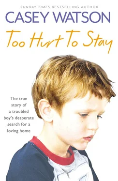 Casey Watson Too Hurt to Stay: The True Story of a Troubled Boy’s Desperate Search for a Loving Home обложка книги
