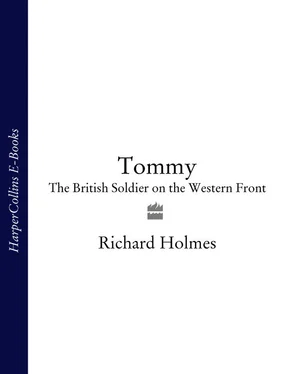 Richard Holmes Tommy: The British Soldier on the Western Front обложка книги