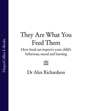 Dr Richardson They Are What You Feed Them: How Food Can Improve Your Child’s Behaviour, Mood and Learning обложка книги