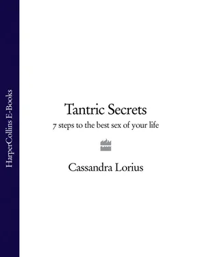 Cassandra Lorius Tantric Secrets: 7 Steps to the best sex of your life обложка книги