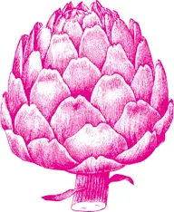 And where are you going to buy say 30 artichokes for your starters They cost - фото 33