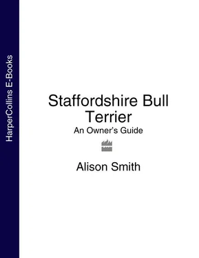 Alison Smith Staffordshire Bull Terrier: An Owner’s Guide