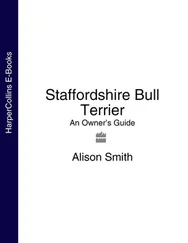 Alison Smith - Staffordshire Bull Terrier - An Owner’s Guide