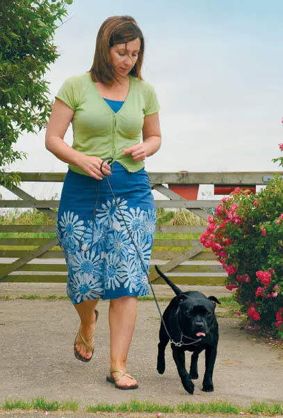 As a responsible owner you will spend many happy hours with your well trained - фото 8