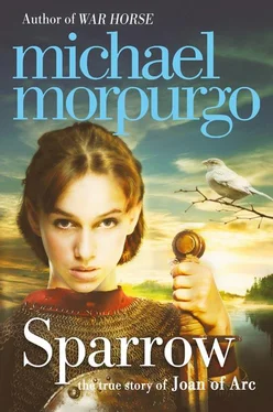 Michael Morpurgo Sparrow: The Story of Joan of Arc