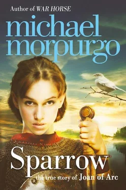 Michael Morpurgo Sparrow: The Story of Joan of Arc обложка книги