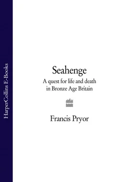 Francis Pryor Seahenge: a quest for life and death in Bronze Age Britain