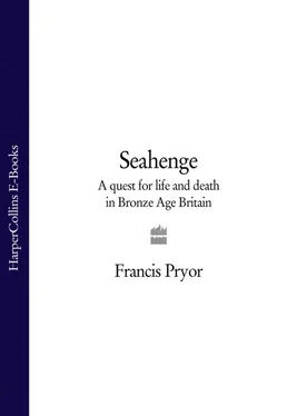 Francis Pryor Seahenge: a quest for life and death in Bronze Age Britain обложка книги