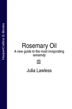 Julia Lawless Rosemary Oil: A new guide to the most invigorating rememdy обложка книги