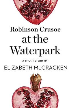 Elizabeth McCracken Robinson Crusoe at the Waterpark: A Short Story from the collection, Reader, I Married Him обложка книги