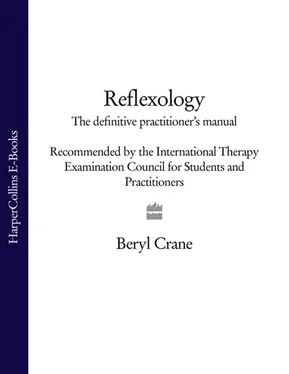 Beryl Crane Reflexology: The Definitive Practitioner's Manual: Recommended by the International Therapy Examination Council for Students and Practitoners обложка книги