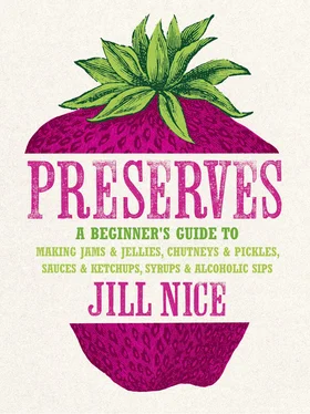 Jill Nice Preserves: A beginner’s guide to making jams and jellies, chutneys and pickles, sauces and ketchups, syrups and alcoholic sips обложка книги