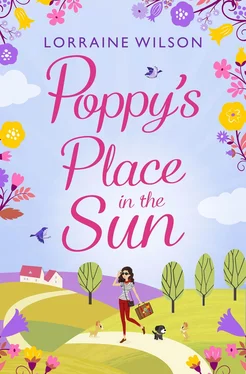 Lorraine Wilson Poppy’s Place in the Sun: A French Escape обложка книги